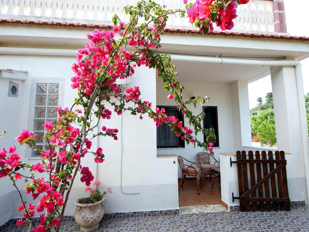 بيسْكيتْشّي B&B La Formichina المظهر الخارجي الصورة