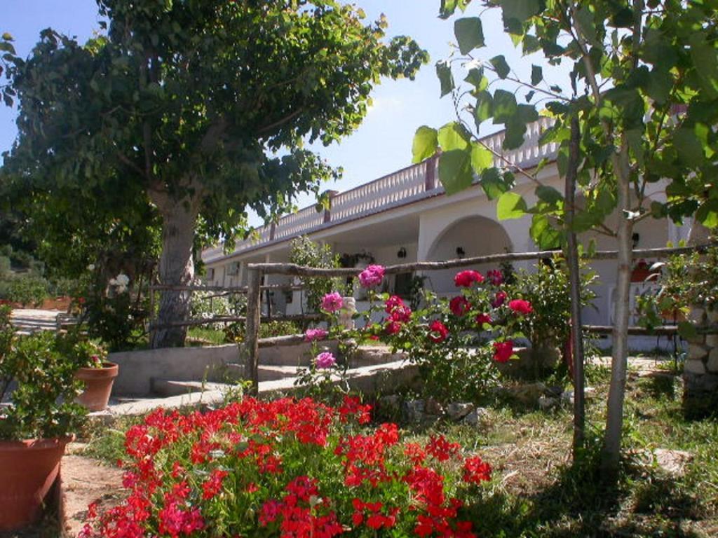 بيسْكيتْشّي B&B La Formichina المظهر الخارجي الصورة
